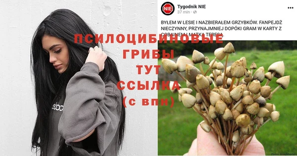 ECSTASY Алзамай