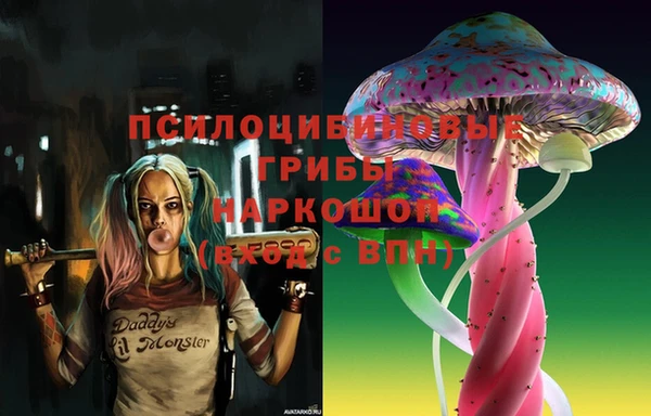 ECSTASY Алзамай