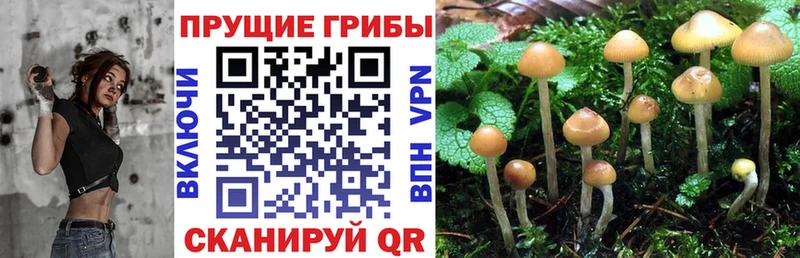 Галлюциногенные грибы MAGIC MUSHROOMS  Свирск 
